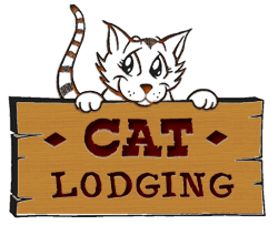 Cat Boarding