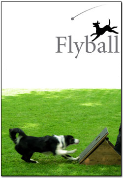 Flyball - Flights scheduled the first Saturday of every month.