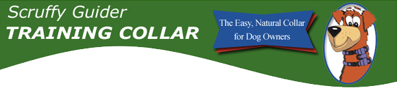 Scruffy Guider Collar Logo